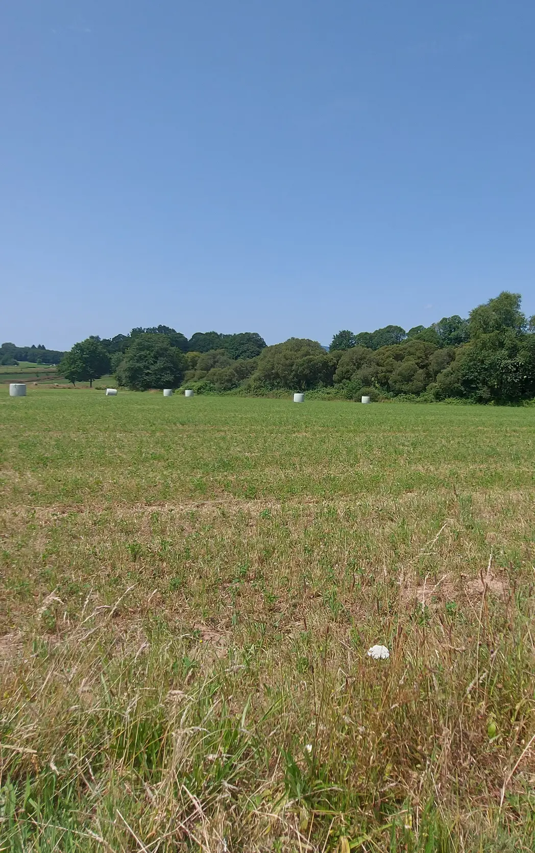 Route plaine des Azemars Avant 15