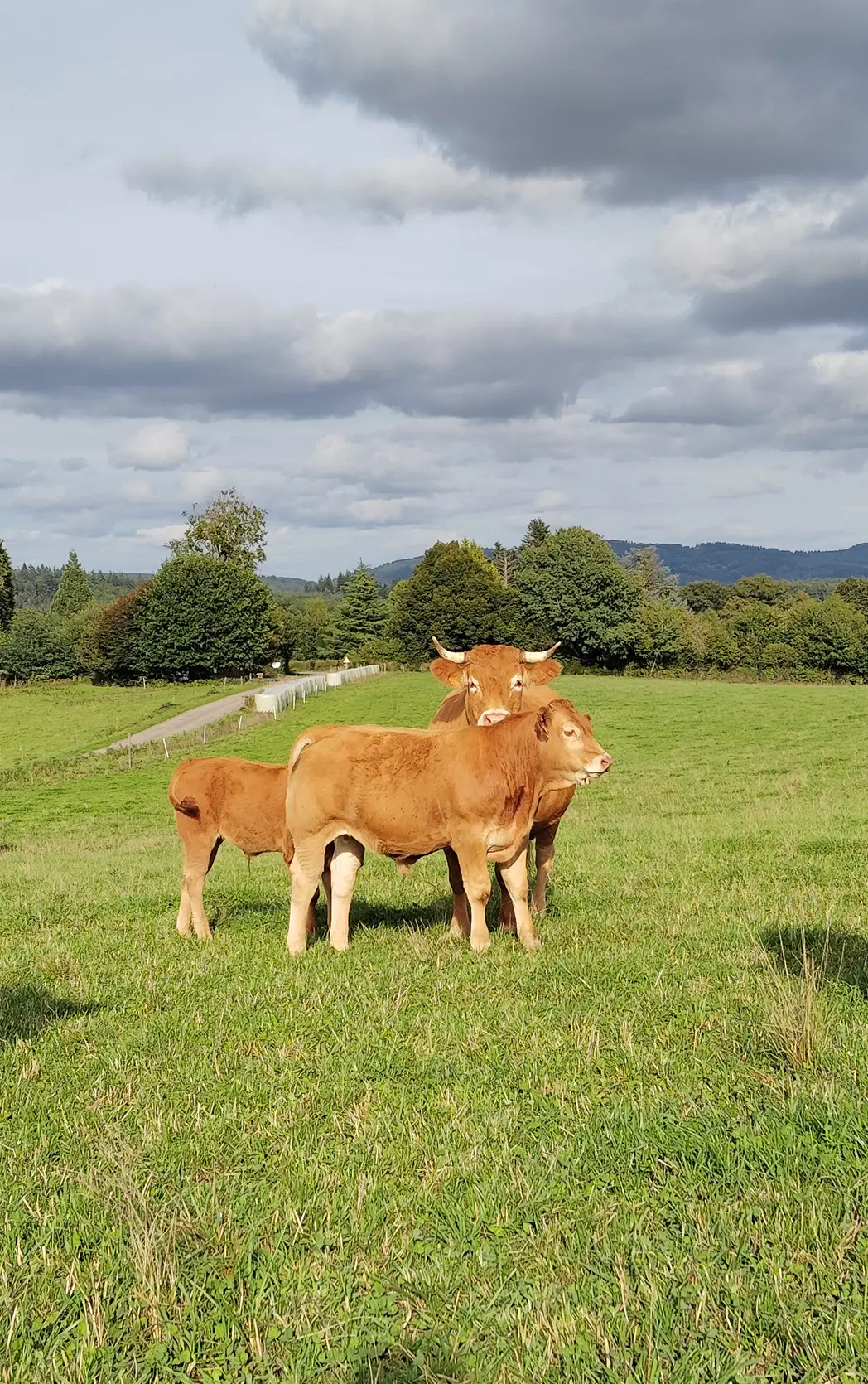 Route plaine des Azemars Avant 17