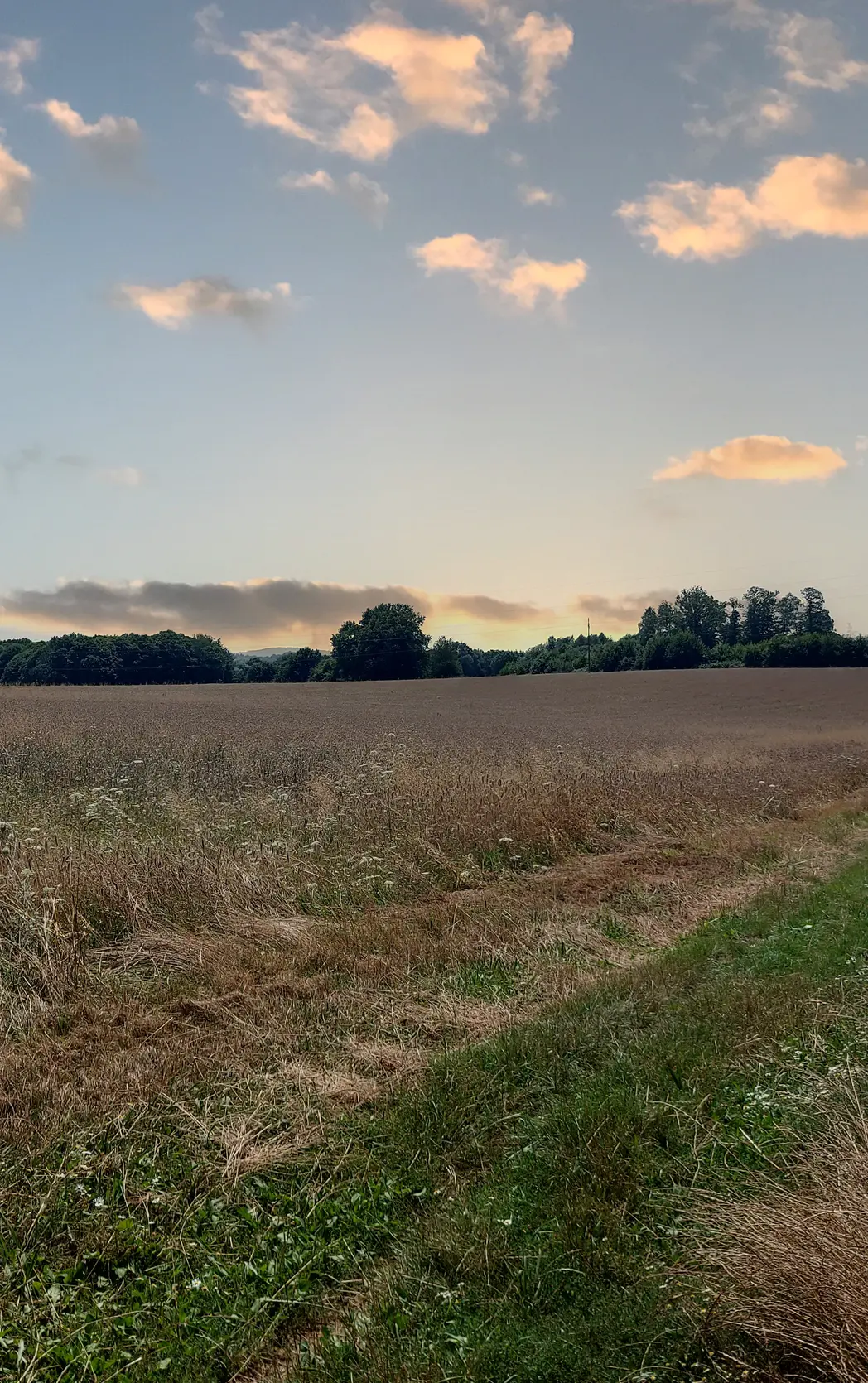 Route plaine des Azemars Avant 2